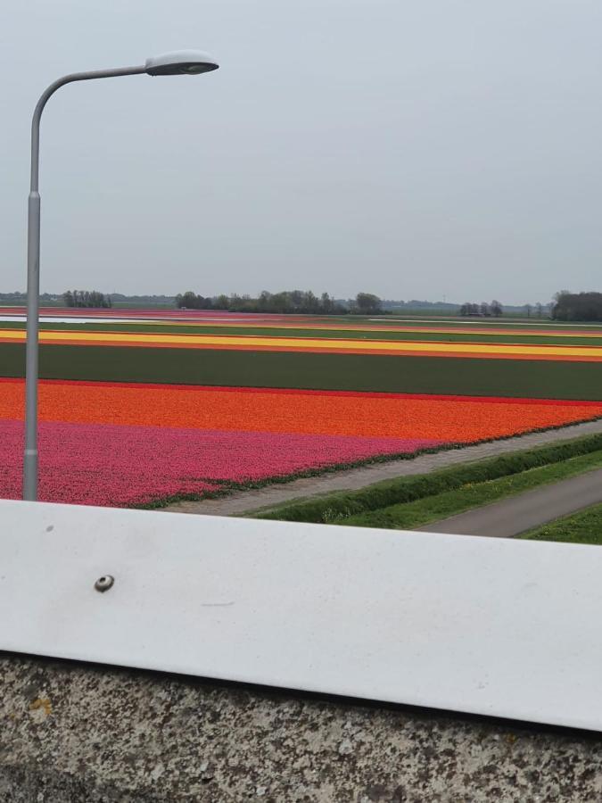 Holidays In Dirkshorn 외부 사진